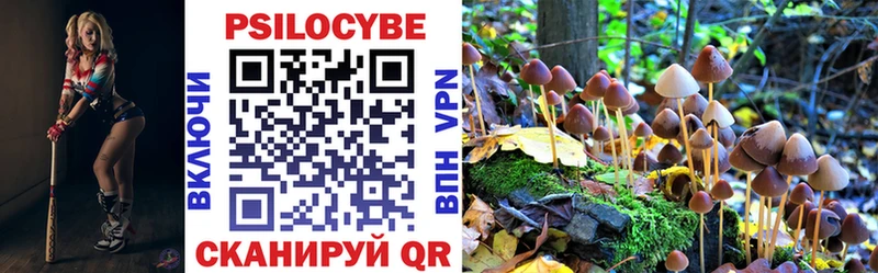 купить Наволоки Псилоцибиновые грибы GOLDEN TEACHER